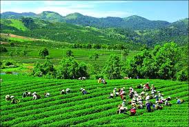 ghế công viên tại thái nguyên