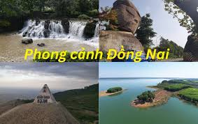 cửa hàng bán xe gom rác tại Đồng Nai