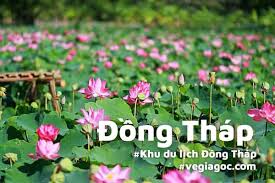 bán xe gom rác tai Đồng Tháp